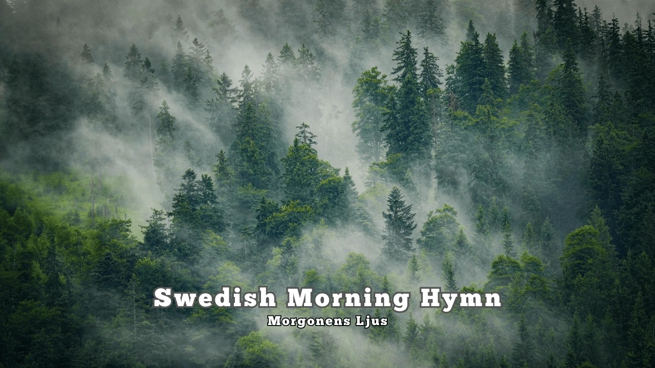Peaceful Swedish Nordic Morning Song for Calm & Reflection - Morgonens Ljus