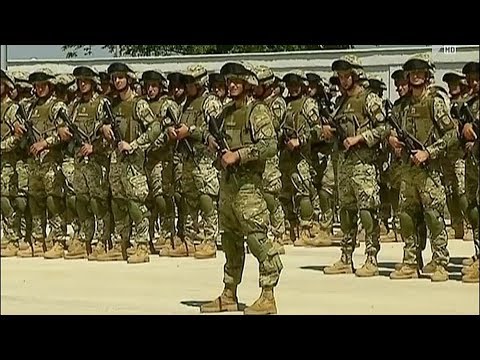 სამხედრო სამსახური და პოლიტიკა