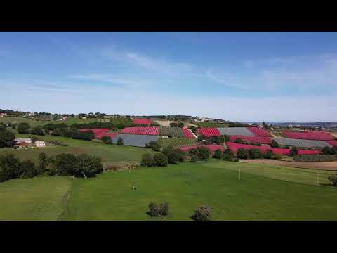 Dji mavic mini italy Marche (Montecosaro) Macerata