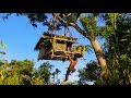 Building suspension house on the tree ( Ancient skill )