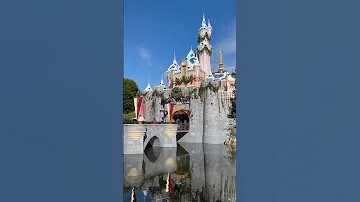 A Wonderful Disneyland Christmastime