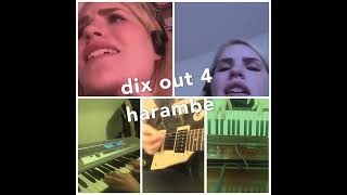 dix out 4 harambe