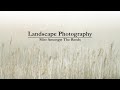 Landscape Photography | Mist Amongst The Reeds