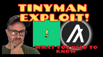 Tinyman Exploit! What you need to know to keep your algorand safe