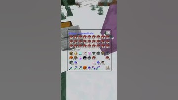 2b2tmcpe:new dupe #2b2tmcpe  #dupe