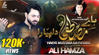 Haye Mustafa s.a.w Da Pyara**ہائے مُصطفیٰ ﷺ دا پیارا* | ALI HAMZA | 2023 | 1445