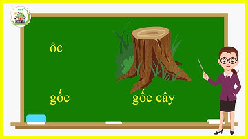 Bé Học Vần "ôc" / Học Đánh Vần Tiếng Việt
