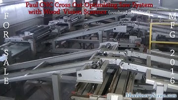 Paul CNC Cross Cut Optimizing Saw System with Wood Vision Scanner - Electrical Overhead View