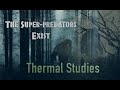 Bigfoot Thermal Studies Continued: Bigfoot Popping Up For A Peek
