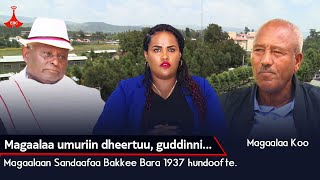 Magaalaa Umuriin Dheertuu, Guddinni...