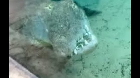 CasualtiesUnknown (280m) aeeaaeeaaa challenge