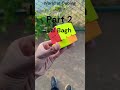 Cubing at Lal Bagh | Part 2#cubing #lalbaghbotanicalgarden #trending #viral #gancube #gangurus#3x3