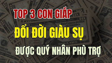 Top 3 con giáp đổi đời giàu sụ trong 10 ngày cuối tháng 5 Âm, được quý nhân phù trợ.