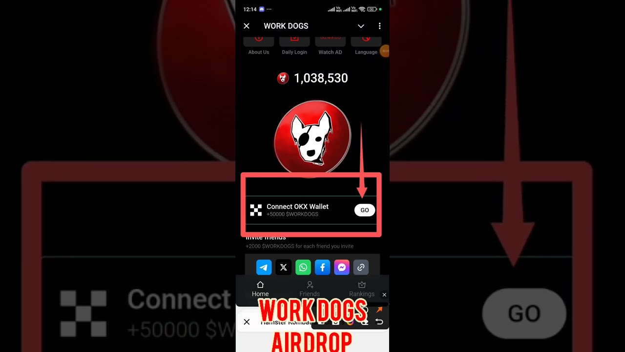 work dogs airdrop ! work dogs airdrop withdrawal! work dogs airdrop listing date ! Dogs Airdrop