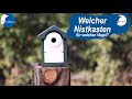 Welcher Nistkasten eignet sich für welchen Vogel?