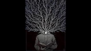 Lorde - Team (Gostan edit) [Slowed]