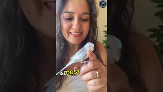 This guy found a transparent bird | But where she lives is surprising 😱🫡 #respect #shorts #ytshorts