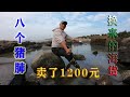 投8个猪肺的400平巨坑，猛货一条比一条大，卖了1200元，发大财了