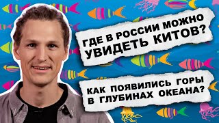 Новый Выпуск «А Почему?» С Океанологом Александром Осадчиевым