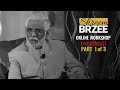 Shreem brzee wealth workshop by dr pillai part 1