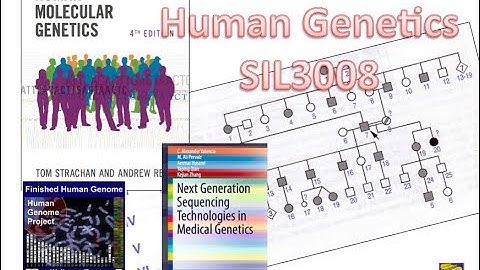 HMG1 - Introduction to SIL3008 Human Molecular Genetics