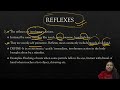 Reflexes || Nervous System || Lecture 4 || ICSE - 10 || Biology || Meenakshi Ma&#39;am
