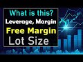 What is Leverage, Margin, Free Margin and Lot Size in Forex Trading