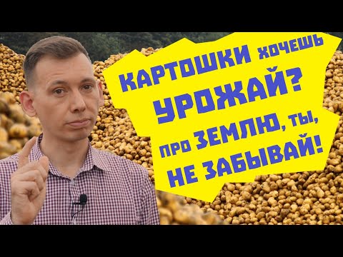 Как вырастить картофель и сохранить плодородие почвы?