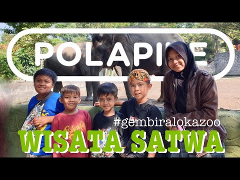 wisata-satwa-#polapike-(film-pendek-ngapak-kebumen)