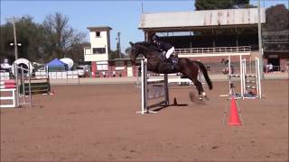 Emmaville Pine and Alyssa Hughes Forbes 2017