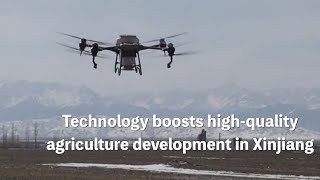 Technology boosts high-quality agriculture development in Xinjiang