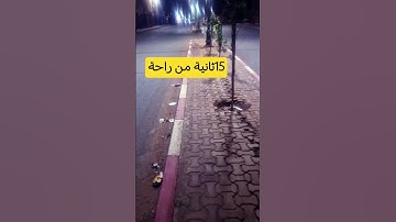 #تلاوة_خاشعة #اسلام_صبحي #تلاوة_هادئة #صلوا_على_النبي