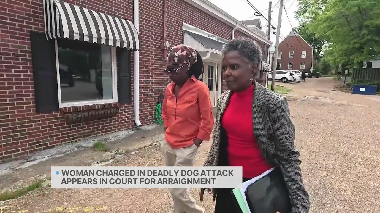 Charges remain unchanged in Holly Springs deadly dog attack - YouTube
