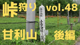 driver連載「峠狩り」vol.48-2 甘利山＜後編＞ストリートビューでも見られない林道