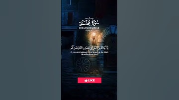 يا أيها الذين آمنوا إن تنصروا الله ينصركم ويثبت أقدامكم #سورة_محمد #القرآن_الكريم #المصحف