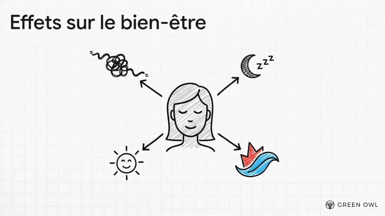 HASH AMNESIA CBD : Texture onctueuse | Green Owl (≤0,3% THC)