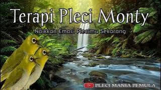 Terapi Pleci Monty 