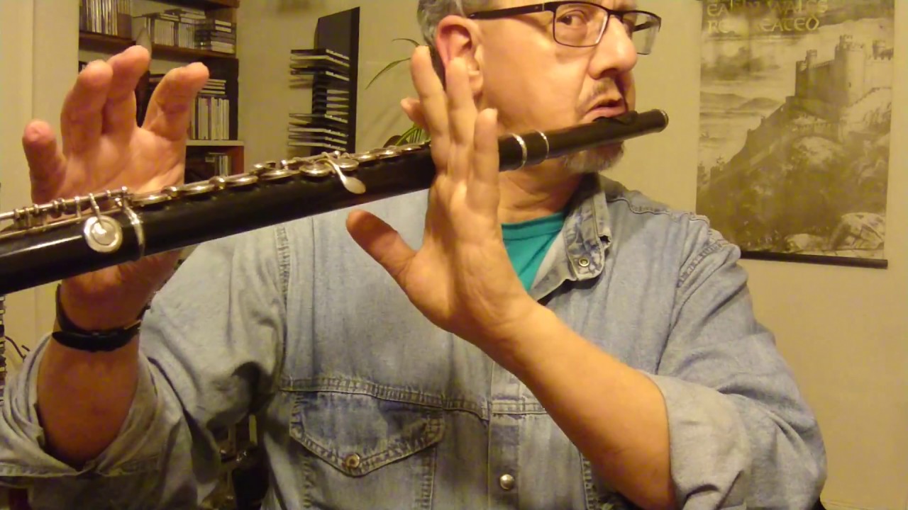 Flute Support 1 short demonstration. YouTube