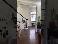 Great danes and drones - Indoor activity since it’s 14 degrees out 🥶