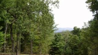245 Turnpike Road video tour