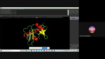 Protein visualization & brief introduction about Molecular Docking | Part 2 | ISERC I/O (19-09-2021)