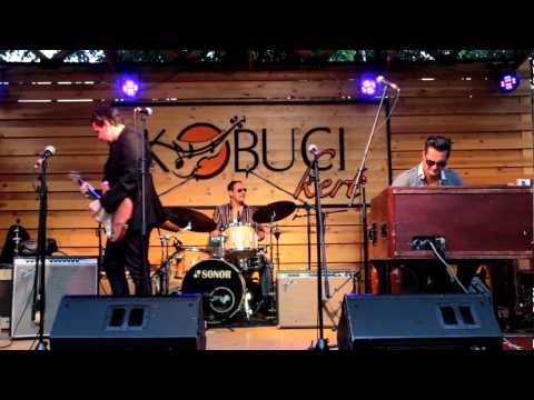 Raphael Wressnig & Igor Prado 2015 Kobuci Blues Festival