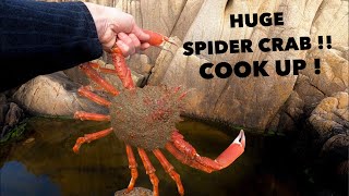 HUGE SPIDER CRAB - Catch Clean Cook ! Crab Steamed In Garlic Butter !
