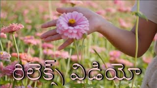 రిలెక్స్ విడియో by Malli godavari abbai 38 views 1 year ago 1 minute, 39 seconds