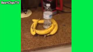 Water Bottle Flip Challenge Videos Compilation 2016