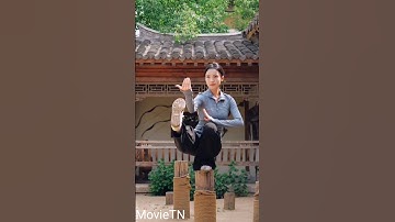 Tai Chi Mastery: Use Stillness to Control Movement | 陈长兴 Wisdom