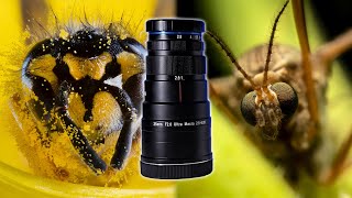 Laowa 25Mm F2.8 2.5-5X Lens Review - Ultra Macro Photography