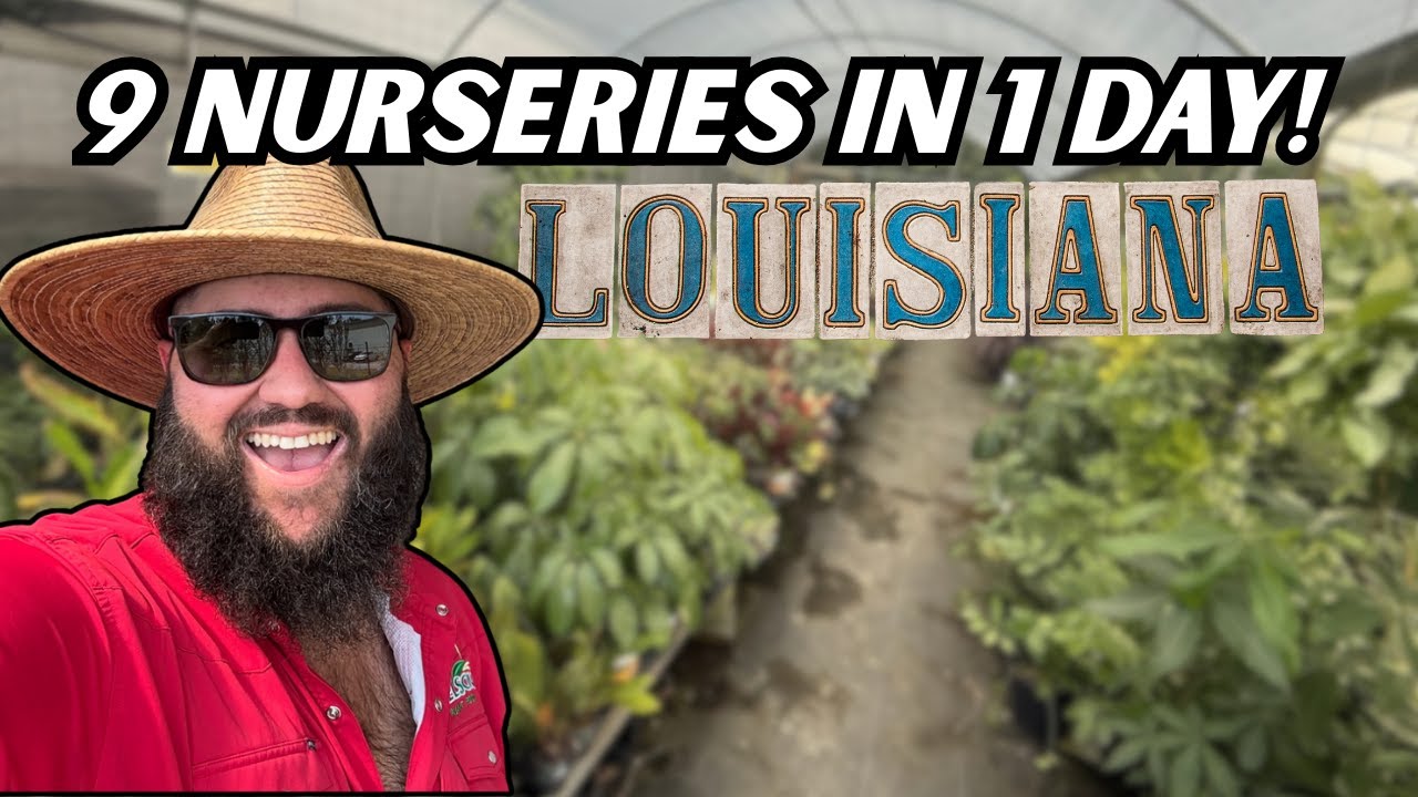 Грандиозное путешествие по питомникам Луизианы! | Осенний тур по питомникам 2025 года. Эпизод 1