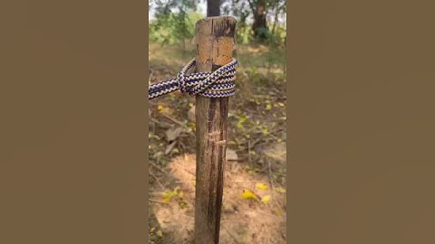 Very Useful Knot 🪢#shorts #knot