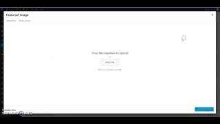 Setup Portfolio Category and Item - Savya Wordpress Theme